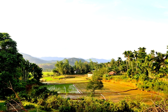09325541h2c-lang-chan-doi-093255.jpg