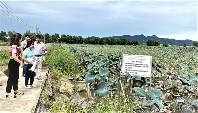 doi-moi-phuong-phap-hoat-dong-khuyen-nong-tu-ky-thuat-sang-tong-hop-1656_20230301_516.jpg 08501242uu_tien_thuc_hien_mo_hinh_chuyen_doi_dat_san_xuat_nong_nghiep_kem_hieu_qua_qua_trong_sen_co_gia_tri_cao-085012