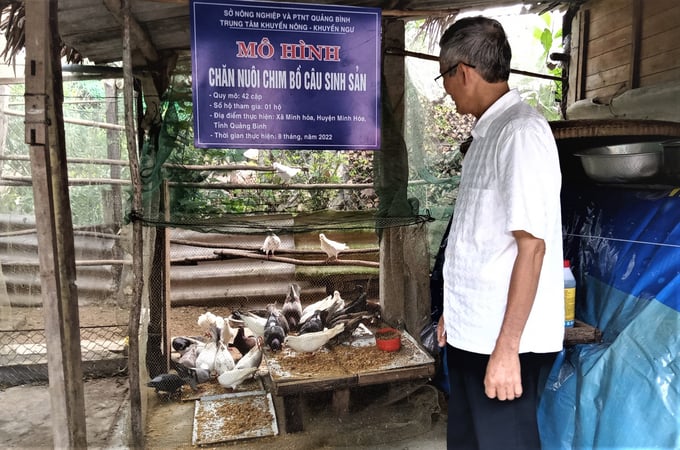 doi-moi-phuong-phap-hoat-dong-khuyen-nong-tu-ky-thuat-sang-tong-hop-1656_20230301_709.jpg 0850118mo_hinh_nuoi_chim_bo_cau_sinh_san_ho_tro_sinh_ke_cho_vung_dong_bao_dan_toc_trien_khai_thuc_hien_bao_dam_yeu_cau-085011