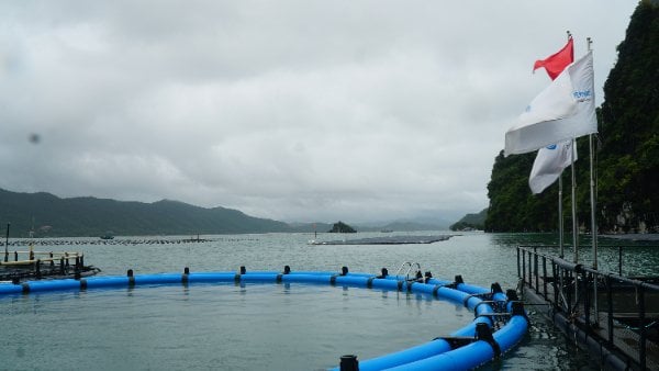 tung-buoc-chuan-hoa-quy-hoach-trong-nuoi-trong-thuy-san-1502_20230306_424.jpg z3707445814243_432eabe020bcaf3a85b38aa0f48783ee