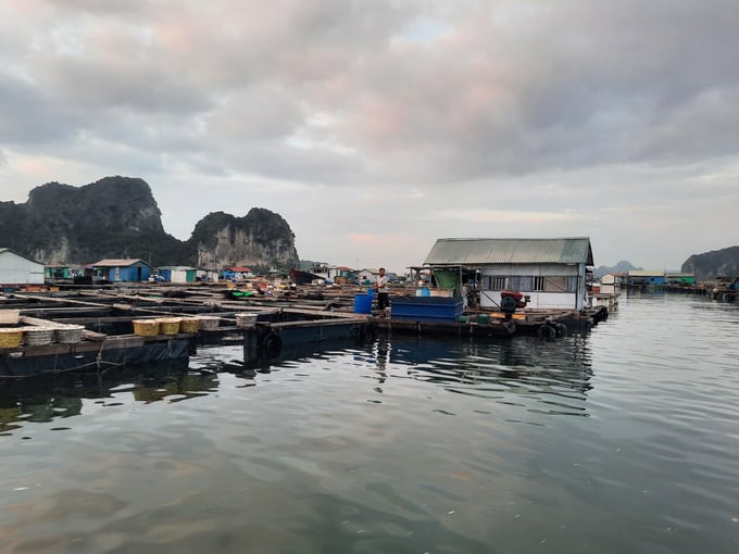 tung-buoc-chuan-hoa-quy-hoach-trong-nuoi-trong-thuy-san-1633_20230307_213.jpg z4162959366221_82b508e806ee21aad81a943262792ef0