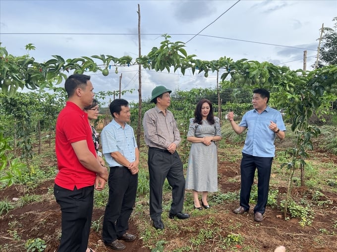 Năm 2022, 26 tổ khuyến nông cộng đồng (2 tổ/ tỉnh) đã được thành lập với sự tham gia của 168 thành viên. Ảnh: TL.
