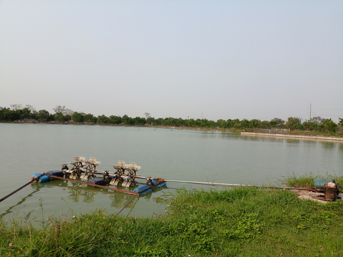 hinh-anh-6-1708_20230323_270.jpg Hình ảnh 6