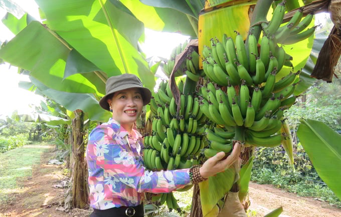 Một góc trang trại An Nông. Ảnh: T.P