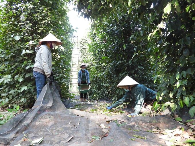 DSCN3469