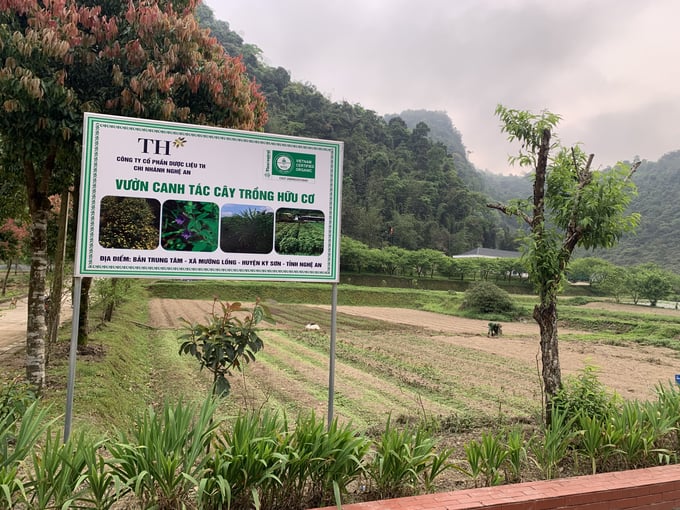 2: Một góc vườn canh tác cây trồng hữu cơ