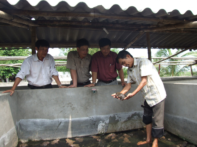 40-mo-hinh-nuoi-ech-thuong-pham-tai-xa-dong-xuan-huyen-soc-son-ha-noi-nam-2007-2152_20230409_67.jpg Empty