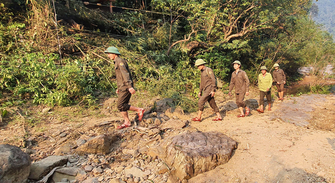 Lực lượng bảo vệ rừng băng suối, luồn rừng để ngăn chặn hành vi xâm hại rừng. Ảnh: T.P