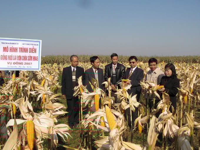 mo-hinh-ngo-tai-huyen-phuc-tho-nam-2007-2152_20230409_356.jpg Empty