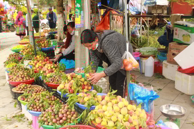 quả đào Pháp được bán tại chợ huyện Bắc Hà khoảng 1 tuần nay. Ảnh: Xuân Cường.