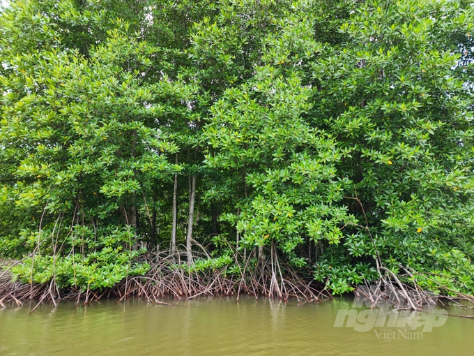 watermark_z4263150172709_edf3041029281bb05f55f4ffe6dd8904-1636_20230415_520.jpg Empty