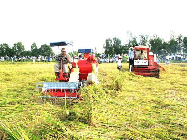 Việc đưa cơ giới vào phát triển sản xuất lúa tại vùng ĐBSCL đã có sự hỗ trợ tích cực từ chính sách đầu tư tín dụng.