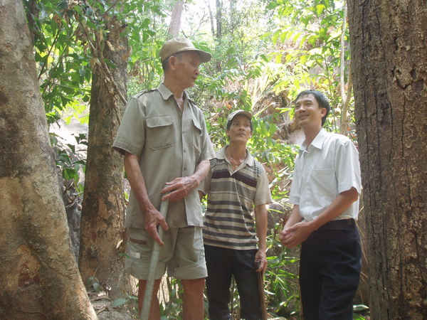Cây rừng ngày một lên xanh nhờ công chăm sóc, bảo vệ của ông Quý. 
