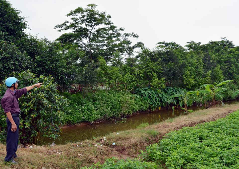 6 tháng đầu năm 2015 có 1.683 đơn thư khiếu nại, tố cáo thuộc lĩnh vực đất đai. Ảnh: Hoàng Minh