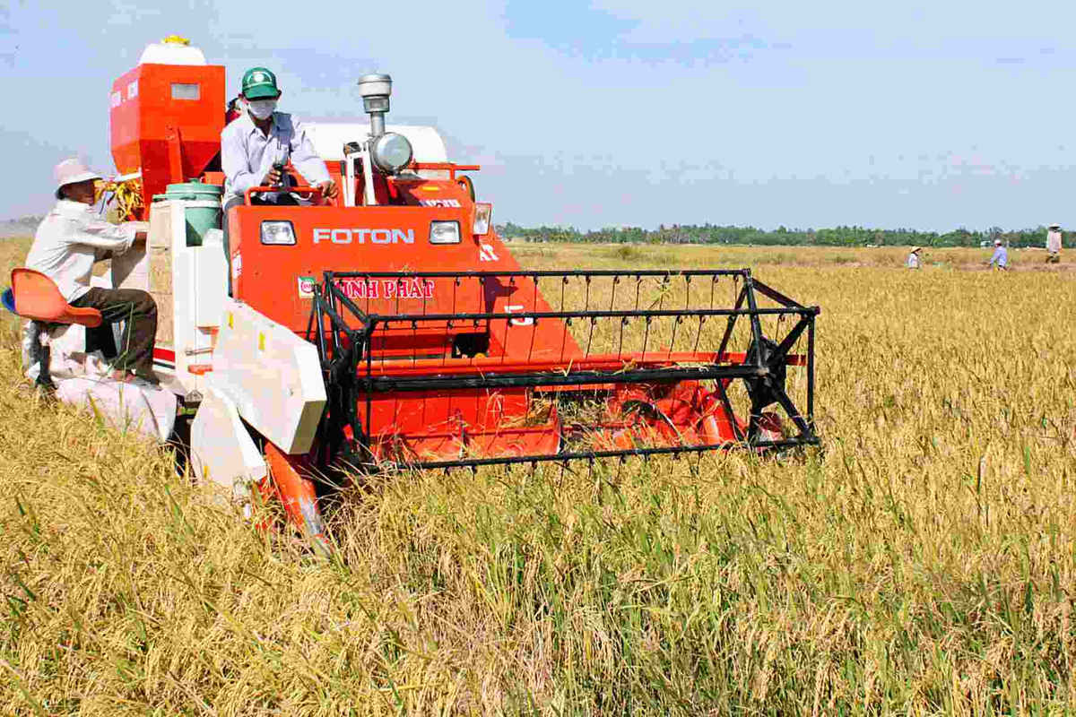 Sáng kiến cải tiến kỹ thuật phục vụ việc cải thiện môi trường, tăng hiệu quả sản xuất phục vụ rất tốt cho cuộc số. Ảnh: MH