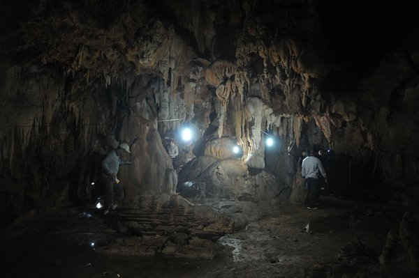 Hang Rồng, Mèo Vạc. 