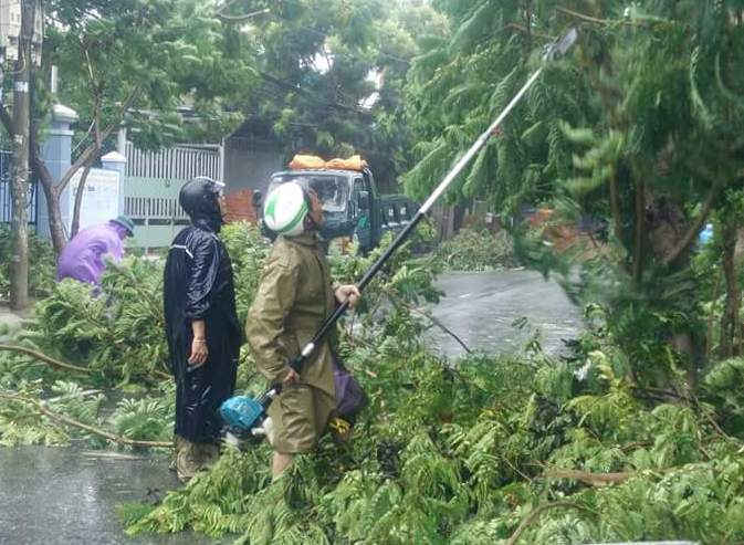 Các lực lượng chức năng cắt tỉa gọn cây xanh để phòng bão đến
