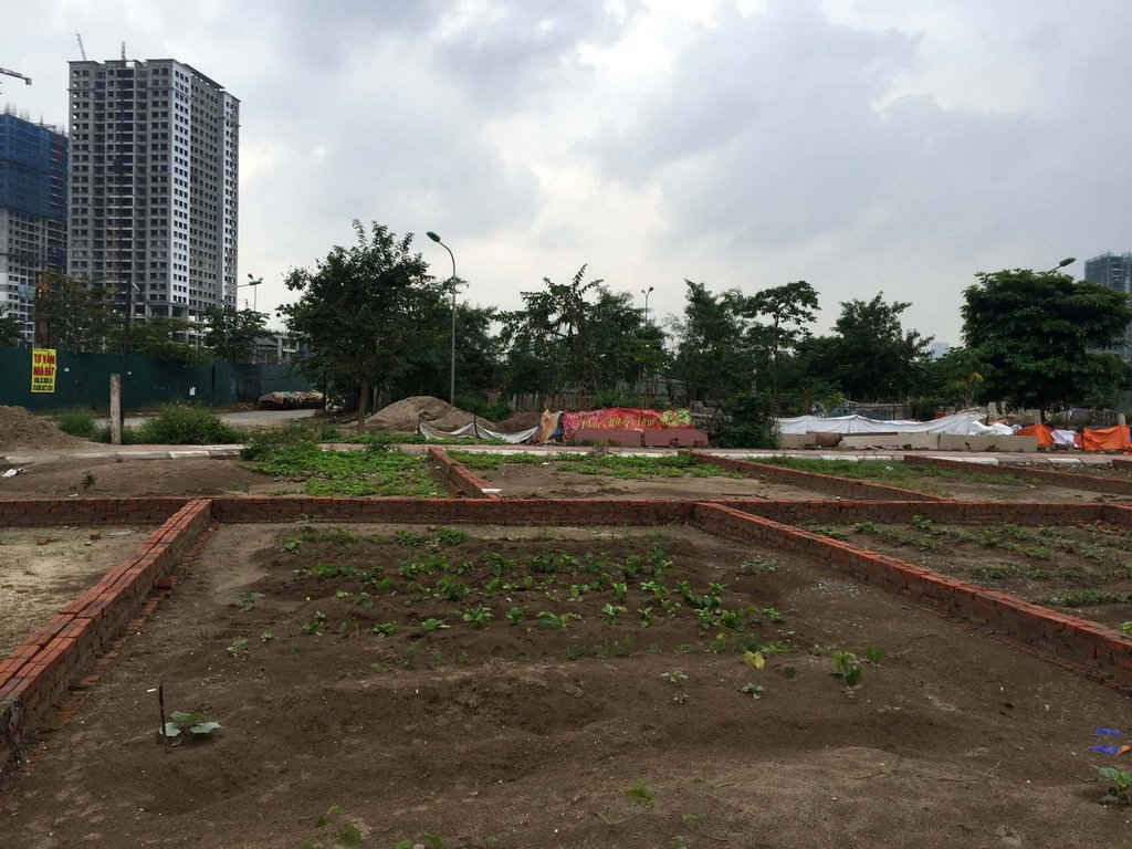 21 lô đất có vị trí rất đẹp nhưng chỉ có giá 44,6 triệu đồng/ m2, mức giá được các nhà bất động sản đánh giá rất thấp.