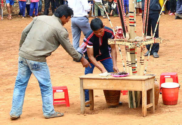 Đưa lễ vật về cây nêu, chuẩn bị làm lễ cúng