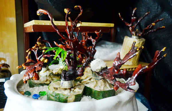 Nấm linh chi bonsai có 2 loại như: Nấm khô và tươi
