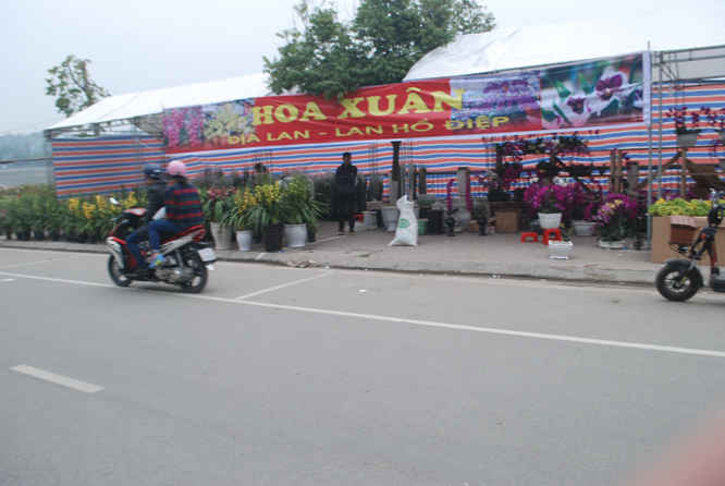 Chợ hoa Tết Bính Thân của TP. Lào Cai tổ chức mới tổ chức vài năm nay trên trục đường An Dương Vương nằm cạnh dòng sông Hồng 