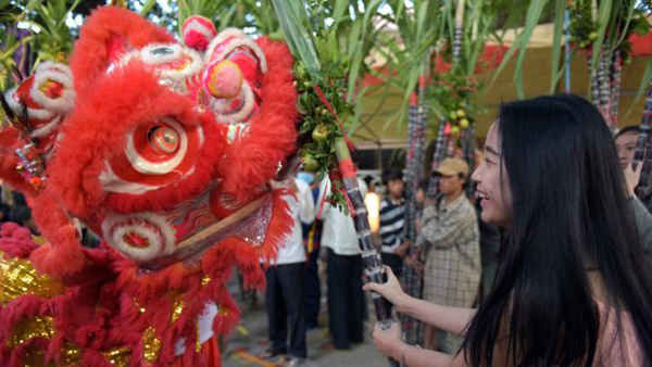 ... trong khi 1 con thú tương tự gây hứng thú cho đám đông ở tỉnh Kandal, Campuchia