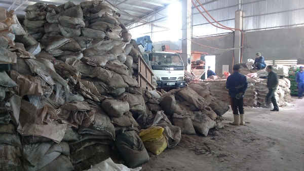 Khu vực xưởng sản xuất