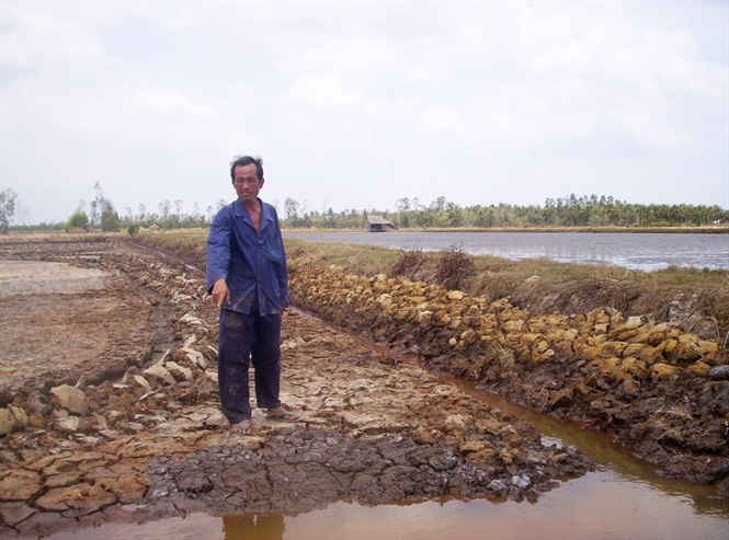 Tình trạng xâm nhập mặn liên tiếp xảy ra ở ĐBSCL
