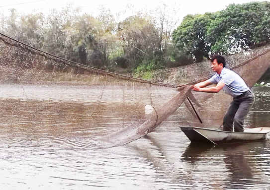 Sông Cửu An ô nhiễm đã khiến nhiều loài cá không thể sống sót