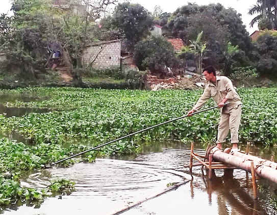 . Người dân không thể lấy được nước sông vào ao nuôi thủy sản