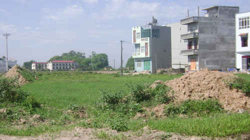 Ảnh minh họa