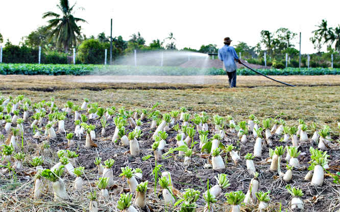 Lượng nước ngầm đã và đang khai thác sử dụng phục vụ cho sản xuất nông nghiệp ở ĐBSCL rất lớn khiến nguồn nước bị suy giảm nghiêm trọng nhưng chưa được kiểm soát