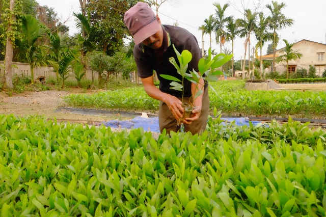 Đà Nẵng phấn đấu nâng độ che phủ rừng đạt mục tiêu đề ra vào năm 2020