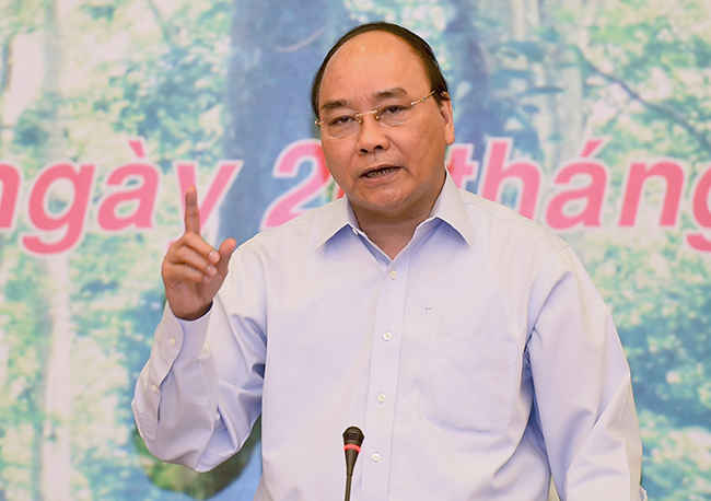 Thủ tướng Chính phủ Nguyễn Xuân Phúc khẳng định: Khôi phục và phát triển rừng vùng Tây Nguyên là nhiệm vụ thiết thực, cấp bách, góp phần quan trọng ứng phó và thích nghi với biến đổi khí hậu không chỉ cho vùng Tây Nguyên mà còn cho cả vùng Duyên hải Nam Trung Bộ và cả nước.