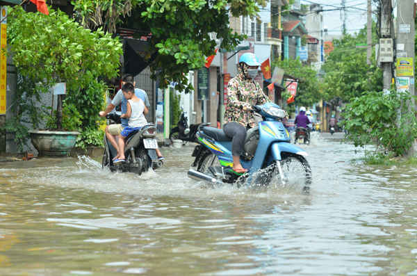 Nguyên nhân là do hệ thống thoát nước và mương tiêu bị tắc