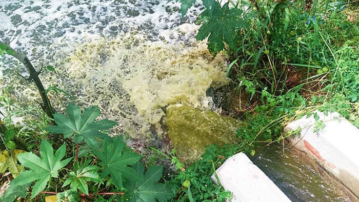 Người dân sống ở khu vực khối phố Đà Sơn (phường Hòa Khánh Nam, quận Liên Chiểu, Đà Nẵng) bắt quả tang lén xả nước thải hôi thối ra ngoài