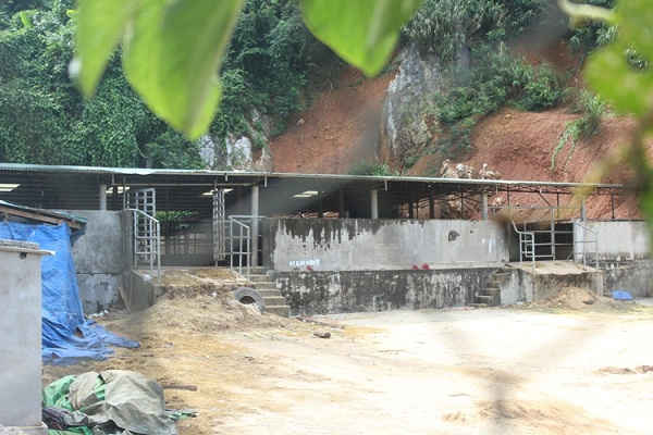 :…tuy nhiên, sáng ngày 28/ tại đây khu cách ly này vắng bóng trâu, bò