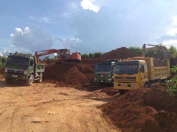Cả đồi sắn đã bị đào bới nham nhở
