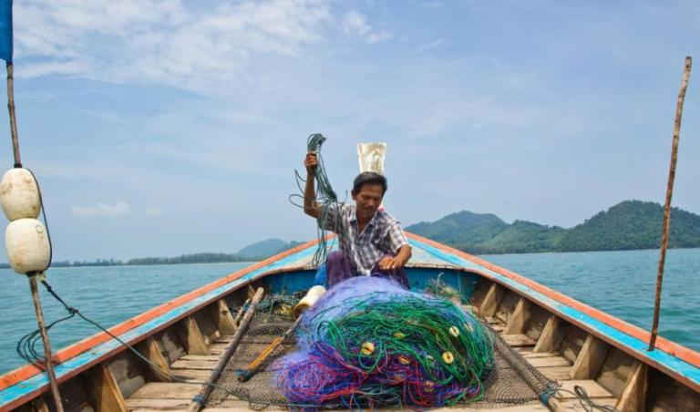 MFF Thái Lan. Ảnh: IUCN châu Á