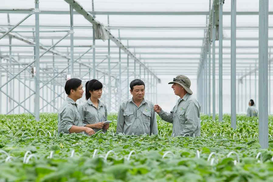  Các cán bộ sẽ được VinEco cử đến hướng dẫn trực tiếp các hộ sản xuất tiếp cận với tiến bộ kỹ thuật và quy trình sản xuất nông nghiệp hiện đại