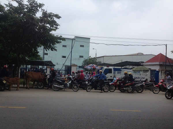 Hàng nghìn công nhân Công ty TNHH Matrix đã đình công kéo dài 4 ngày để đòi quyền lợi