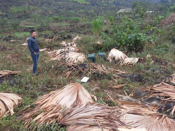 Trại ong tan hoang sau khi bị đốt, đập phá