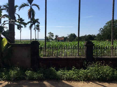 Ảnh minh họa. Nguồn: Internet 