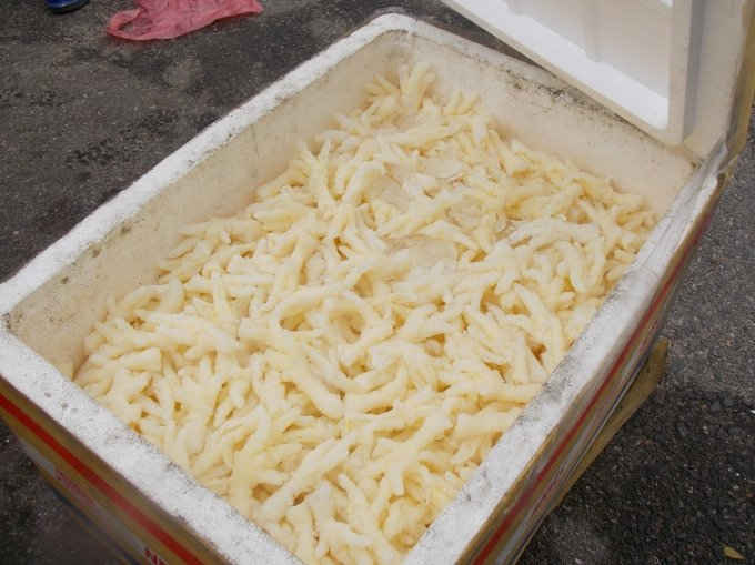 Số lượng chân gà rút xương không rõ nguồn gốc bị bắt giữ