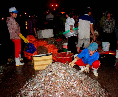 Thành quả sau những chuyến ra khơi