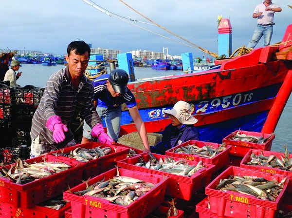 Để mang về những mùa thủy sản bội thu