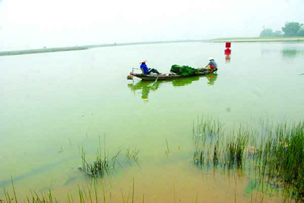 Mưu sinh trên bến Tam Soa