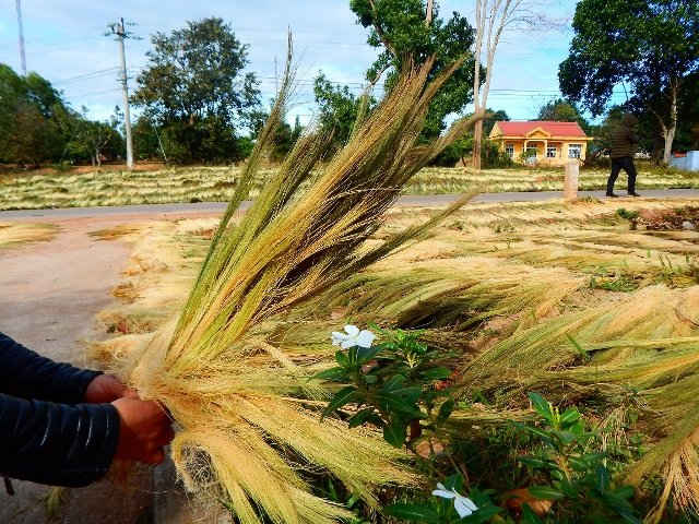 “Lộc trời” của bà con vùng cao