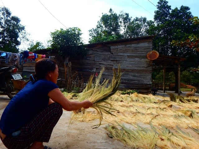 Người dân đang phơi “Lộc trời”