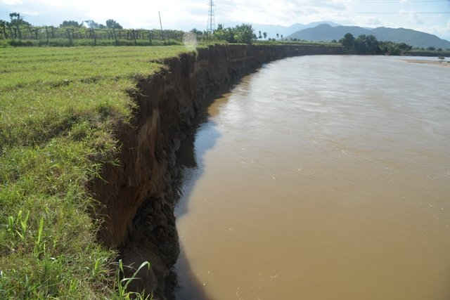 Điểm sạt lở bờ sông Dinh tịa thôn Phước Thiện 3, xã Phước Sơn, huyện Ninh Sơn